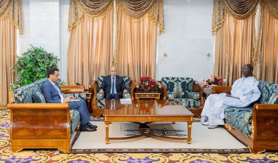 رئيس الجمهورية يستقبل رئيس لجنة التحقيق المستقلة المكلفة بالتحقيق في حريقي محطتي التحويل الكهربائي بنواكشوط